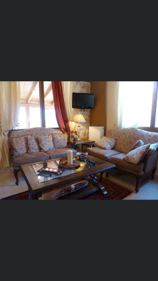 Aetoma Suites Synikia Mesi Trikalon Exterior photo
